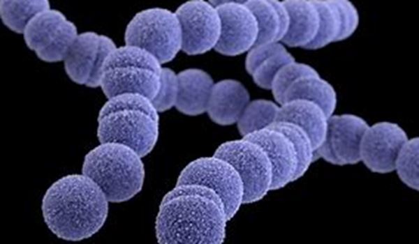 Strep A - click here for more information